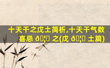 十天干之戊土简析,十天干气数喜忌 🦈 之(戊 🦅 土篇)